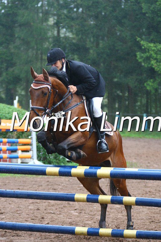 005L4695_Los Angeles_Springpferde A xx.JPG